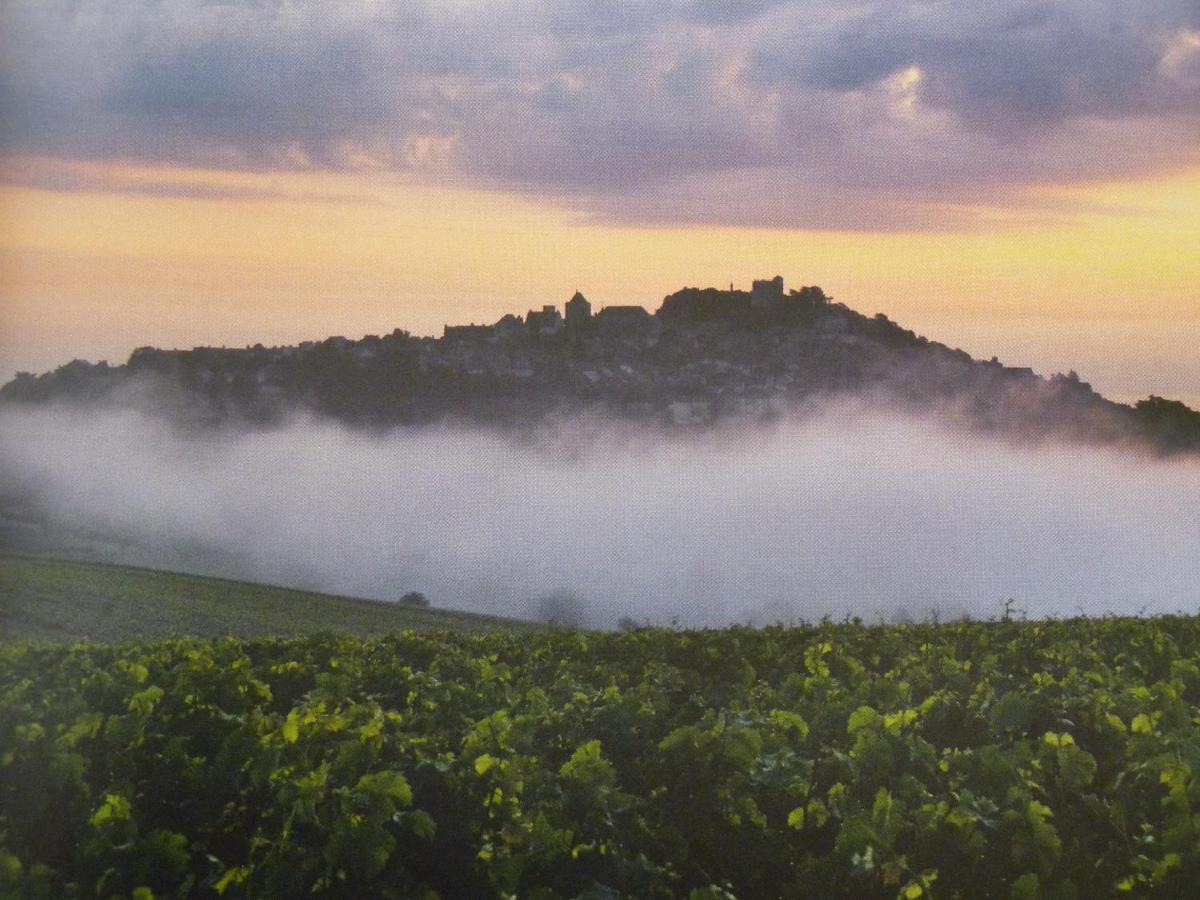 Maison Les Fossiles Sancerre Luaran gambar