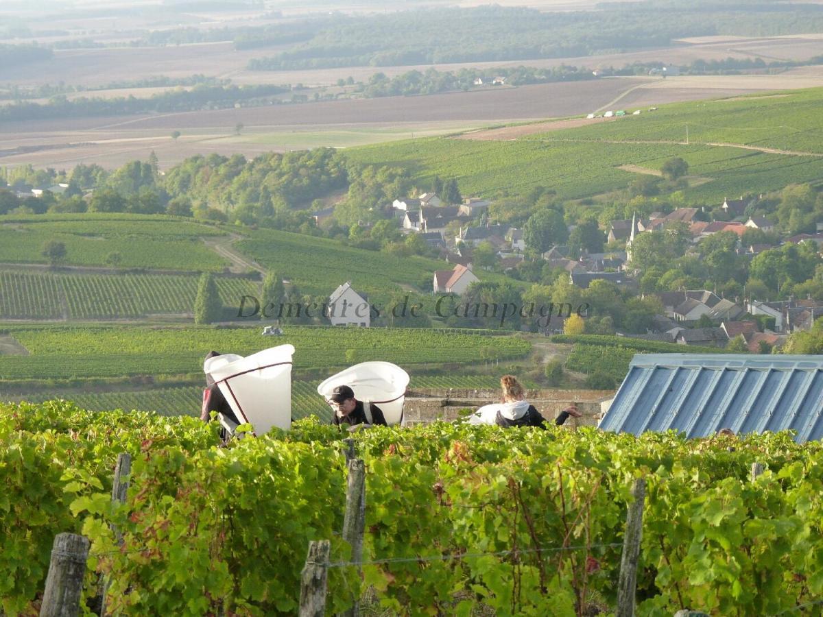 Maison Les Fossiles Sancerre Luaran gambar